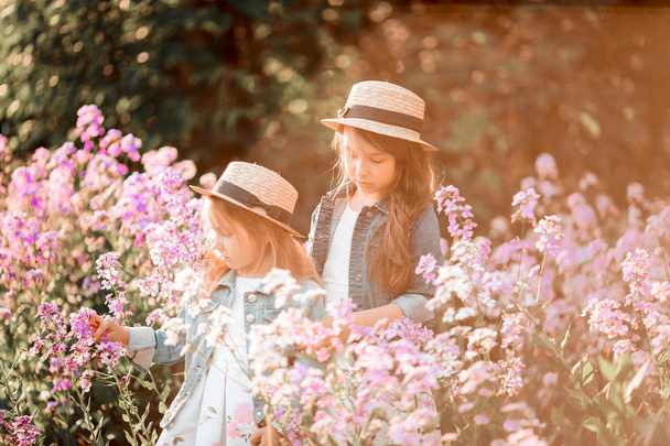 Little sisters outdoor portrait in a pink meadow  - Photo, Image