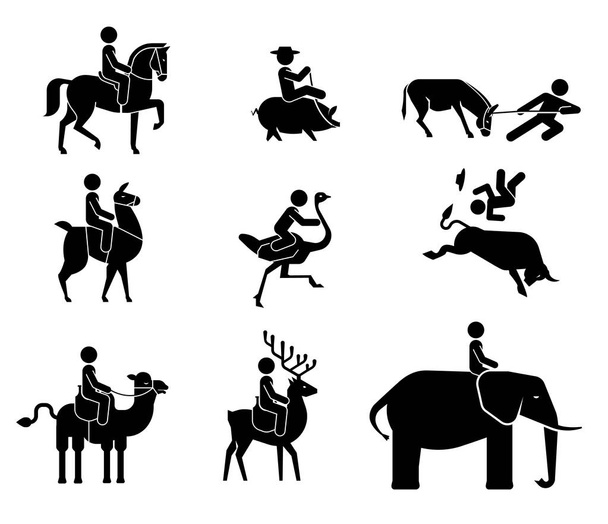 Különböző típusú állatok lovaglásakor bemutató piktogramok.  - Vektor, kép