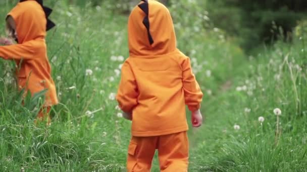 Pequeños chicos gemelos en sudaderas con capucha naranja brillante caminan en la naturaleza, cámara lenta
 - Imágenes, Vídeo