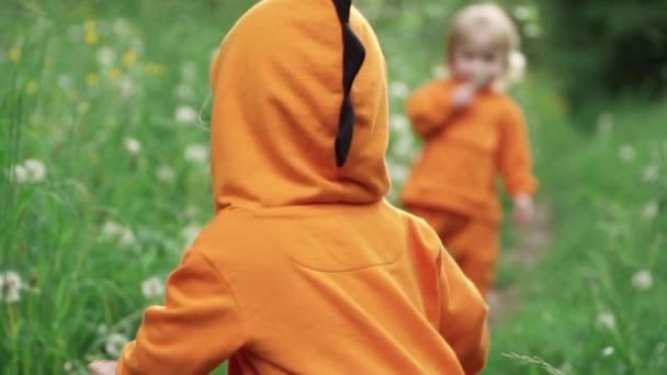 Μικρά δίδυμα αγόρια με φωτεινές πορτοκαλί μπλούζες με κουκούλα στη φύση, αργή κίνηση - Πλάνα, βίντεο