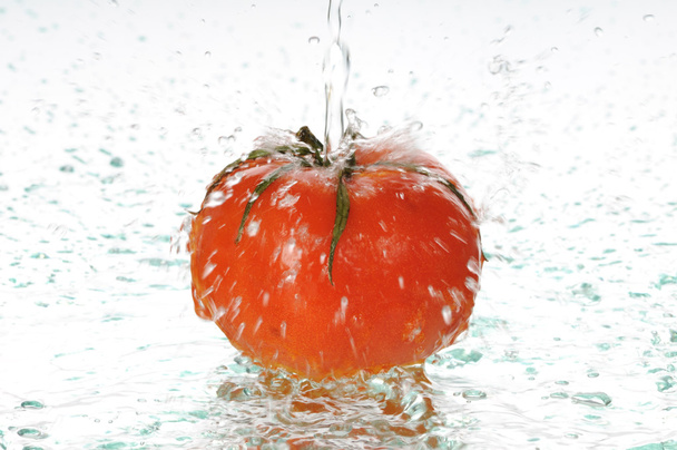 tomaat in water - Foto, afbeelding
