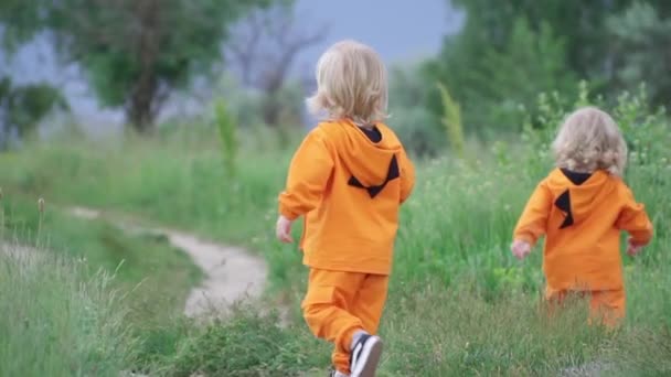 明るいオレンジ色のパーカーを着た小さな双子の男の子は、自然の中を歩く、スローモーション - 映像、動画