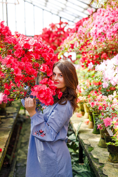 portrait of a young beautiful woman in a blue dress in a beautiful botanic garden with flowers - Zdjęcie, obraz