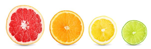 Kalkki, greippi, appelsiini ja sitruunaviipaleet
 - Valokuva, kuva