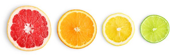 Lime, grapefruit, orange and lemon slices - Фото, зображення