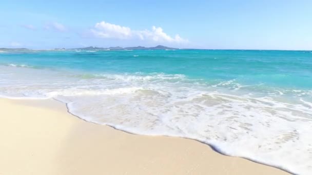 Видео красивого пляжа в Окинаве
 - Кадры, видео