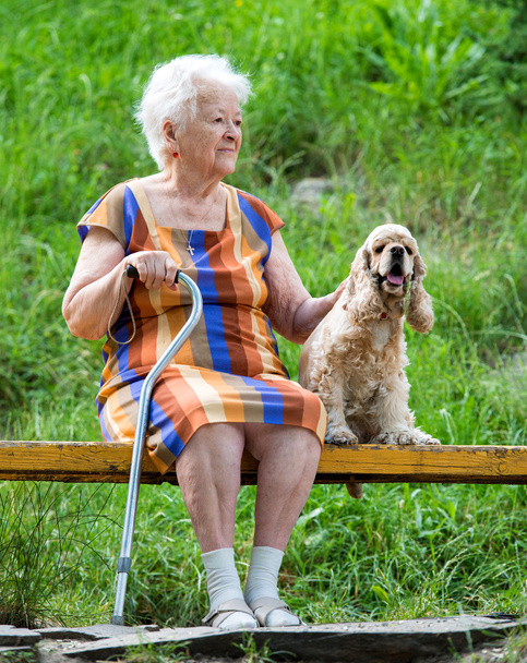 Vecchia donna e il suo cane seduti su una panchina
 - Foto, immagini