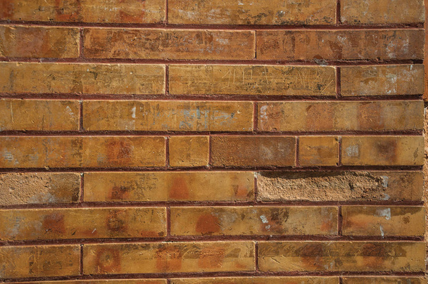 Wall made of bricks on store building facade at Merida - Fotografie, Obrázek