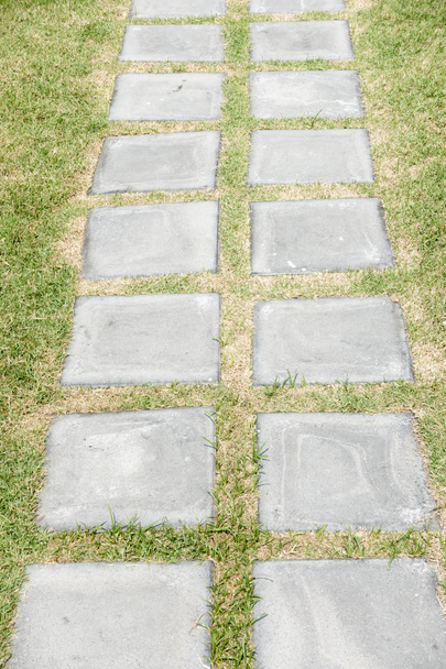 camino de piedra en la hierba en el jardín
 - Foto, imagen