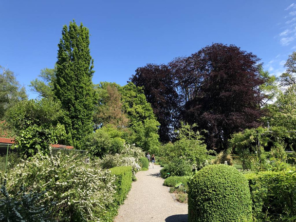 Parco e arboreto Seeburgpark a Kreuzlingen - Canton Turgovia, Svizzera
 - Foto, immagini