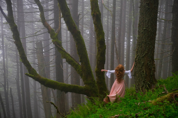 Una mujer perdida en el bosque. Mujer pelirroja en el bosque nublado cerca del árbol cubierto de musgo. Selva tropical de primavera en Columbia River Gorge cerca de Portland. Oregon. Estados Unidos de América
. - Foto, Imagen