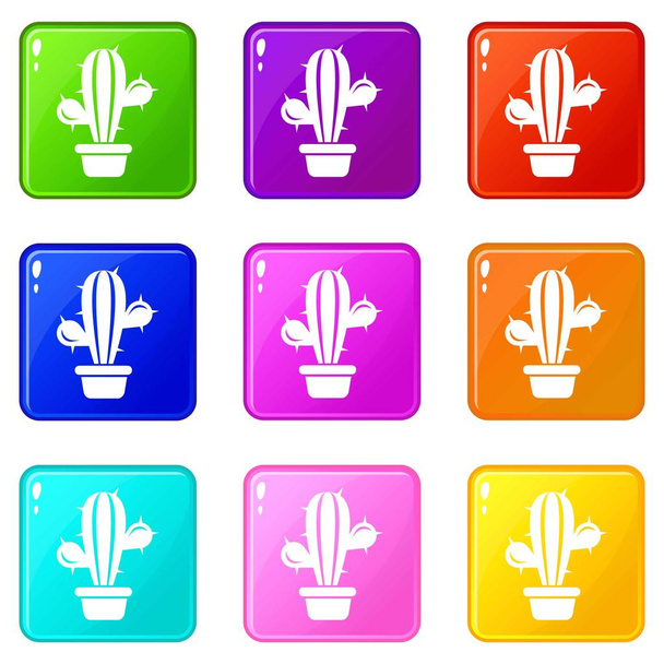Domestic cactus icons set 9 color collection - Vecteur, image