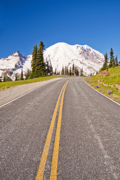 The Road Direction to Mt Rainer at Sunrise point in Mt Rainier National Park - Photo, Image