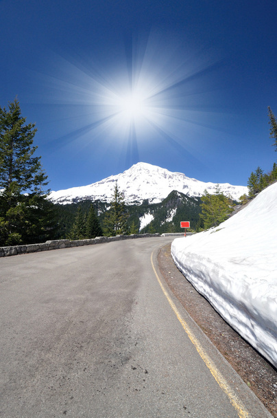Kaunis näkymä Mount Rainier
 - Valokuva, kuva