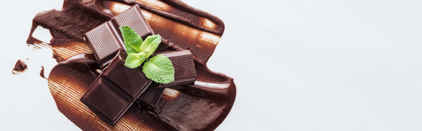 Panoramic shot of pieces of chocolate bar and fresh mint on liquid chocolate - Photo, Image