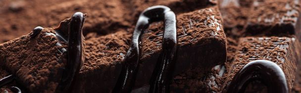 Foto panorámica de trozos de barra de chocolate negro con chocolate líquido y cacao en polvo
 - Foto, imagen