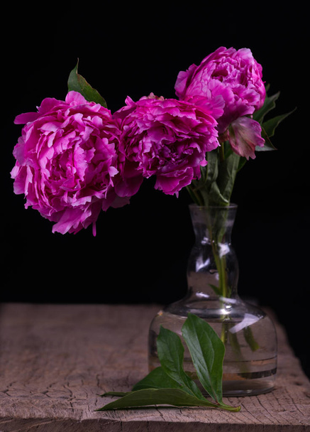 Artistic still life with pink peonies in vase - Fotografie, Obrázek