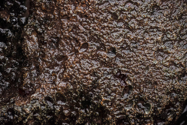 top view of textured wet brown stone surface - Valokuva, kuva