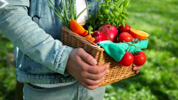 Porträt eines glücklichen Jungbauern, der frisches Gemüse in einem Korb hält. auf dem Hintergrund der Natur das Konzept der biologischen, Bio-Produkte, Bio-Ökologie, von eigenen Händen angebaut, Vegetarier, Salate gesund - Filmmaterial, Video