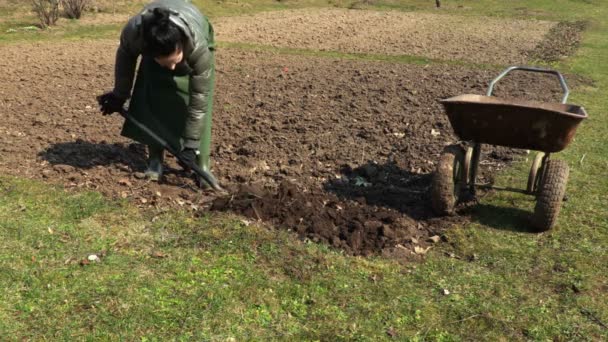 土壌ガーデニングのコンセプトにフォークを使用する女性 - 映像、動画
