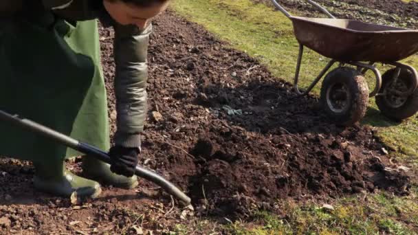 Woman Kertész ásni a talaj a Villa közelében talicska. Kertészeti koncepció - Felvétel, videó