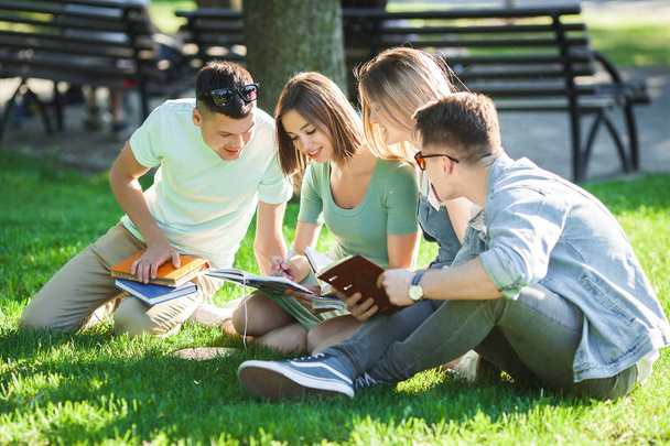 Grupa uczniów uczących się lekcji na świeżym powietrzu. Uczniowie czytając książki tekstowe lub samouczek. Młodzież studiując w parku. - Zdjęcie, obraz