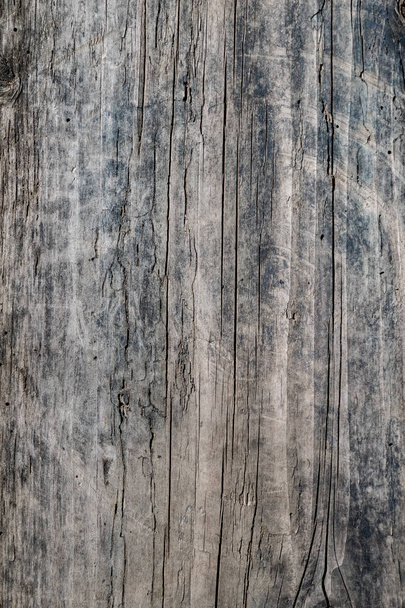Naturalne starzenie się drewna popękane tekstury powierzchni - Zdjęcie, obraz