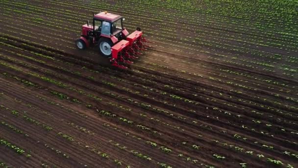 Tractor cultivating field at spring, aerial sunset view - Footage, Video