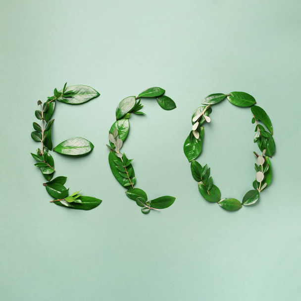 Word Eco made of leaves, branches, flowers on green background. Top view. Flat lay. Ecology, eco friendly planet and sustainable environment concept. Think green. - Valokuva, kuva