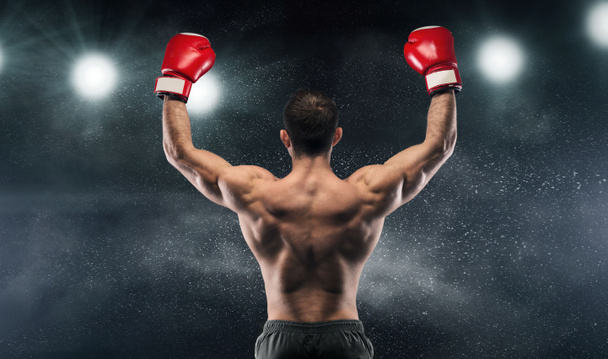 Šampión boxera vychutnával své vítězství na světlech - Fotografie, Obrázek