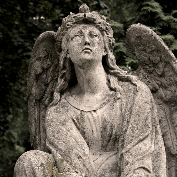 Angel - Photo, Image