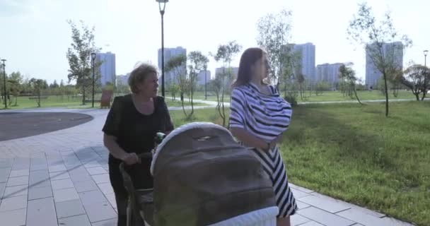 Young mother with her mom in the park - Materiał filmowy, wideo