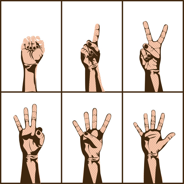 Números y manos
 - Vector, imagen