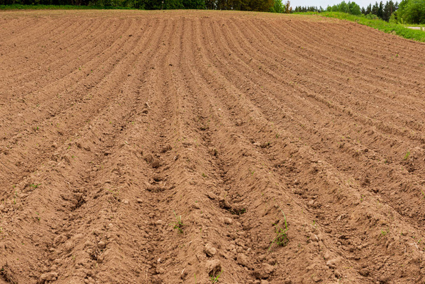 cultivated fields in countryside with dark and wet soil for agri - Fotoğraf, Görsel