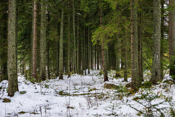 slovakia tatra mountain tourist hiking trails under snow in wint - Valokuva, kuva
