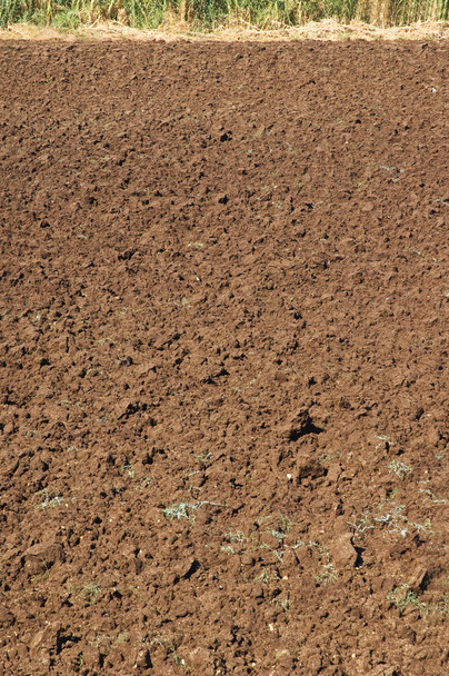 Ploughed earth - Photo, Image