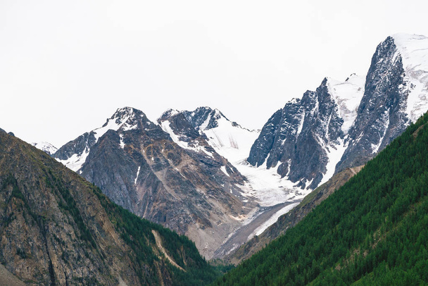 Besneeuwde bergtop achter heuvel met bos onder bewolkte hemel. Rotsachtige heuvelrug in bewolkt weer. Witte sneeuw op de gletsjer. Sfeervolle landschap van majestueuze natuur. - Foto, afbeelding
