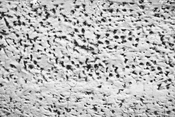 detaillierte unvollkommene weiße Textur eines Schaumstoffblocks mit Löchern in Nahaufnahme. Seite des Gebäudes ist weißlich gestrichen. Hintergrund der Konstruktion aus Schaumstoff in Makro. Dekorative Verkleidung des Hauses. - Foto, Bild