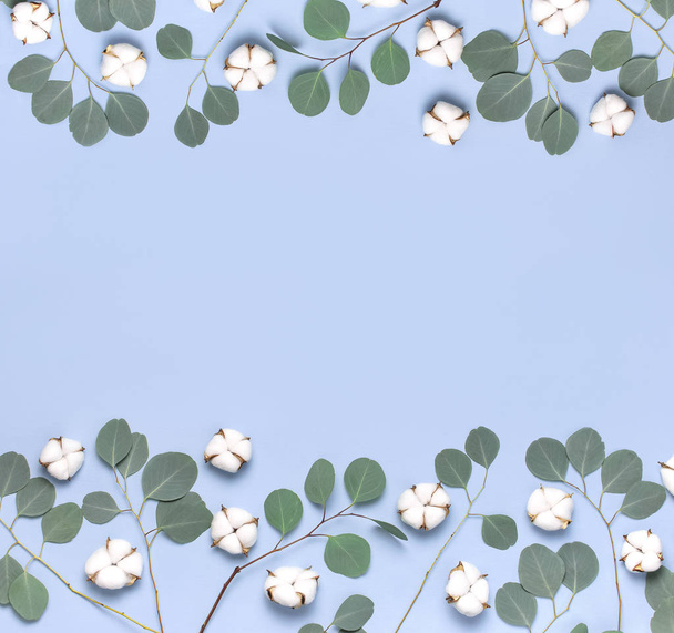 Frame gemaakt van katoen bloemen en verse eucalyptus twijgen op licht blauwe achtergrond. Platte lay bloemen samenstelling. Bovenste weergave, kopieer ruimte. Delicate witte katoenen bloemen. Floral achtergrond, wenskaart - Foto, afbeelding