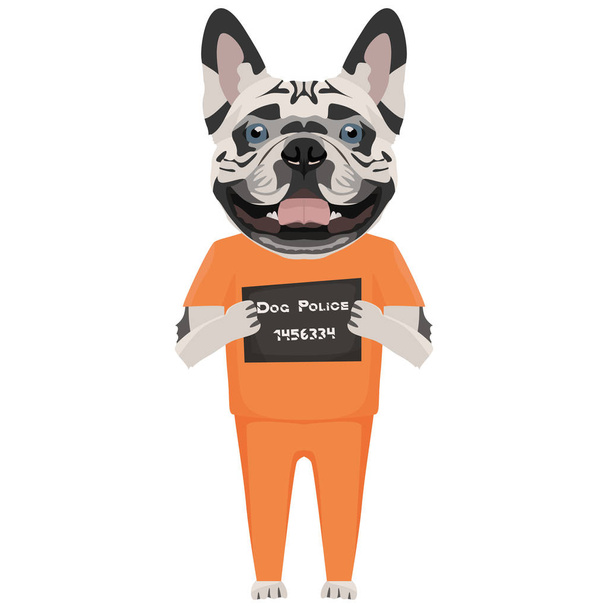 Mugshot prisión ropa perro francés Bulldog
 - Vector, imagen