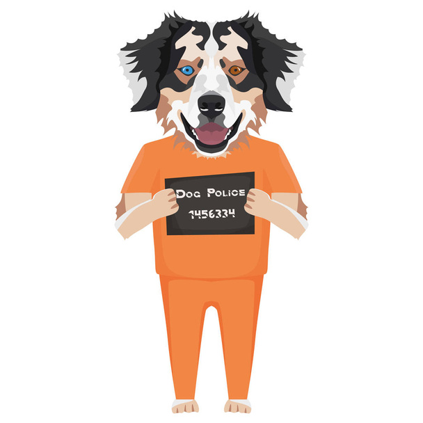 Mugshot hapishane giysi köpek Avustralya Çoban - Vektör, Görsel