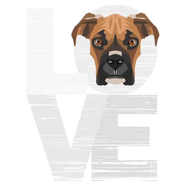 Boxer lásky - Vektor, obrázek