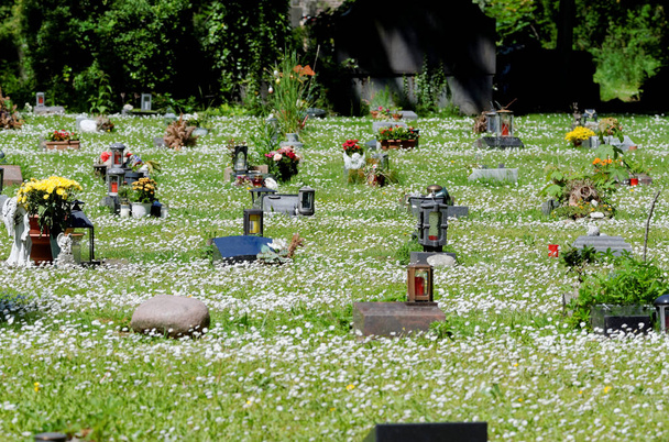 cimetière paupers dans une prairie de printemps fleurie
 - Photo, image
