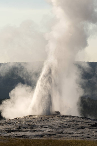 Geyser and hot spring in old faithful basin in Yellowstone National Park in Wyoming - Fotoğraf, Görsel
