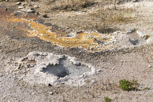 Geyser e sorgenti termali nell'antico bacino dei fedeli nel Parco Nazionale di Yellowstone nel Wyoming
 - Foto, immagini