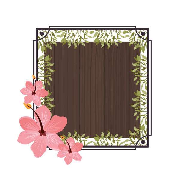 frame with flower and leafs of summer - Vetor, Imagem