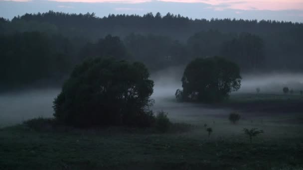 Time lapse of low hanging mist around trees over grass at night in the fields. Mysterious atmosphere in nature landscape - 映像、動画