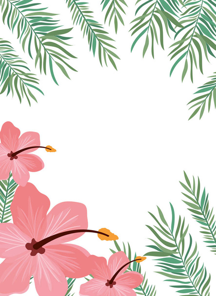 pattern with flower and leafs of summer - Vector, afbeelding