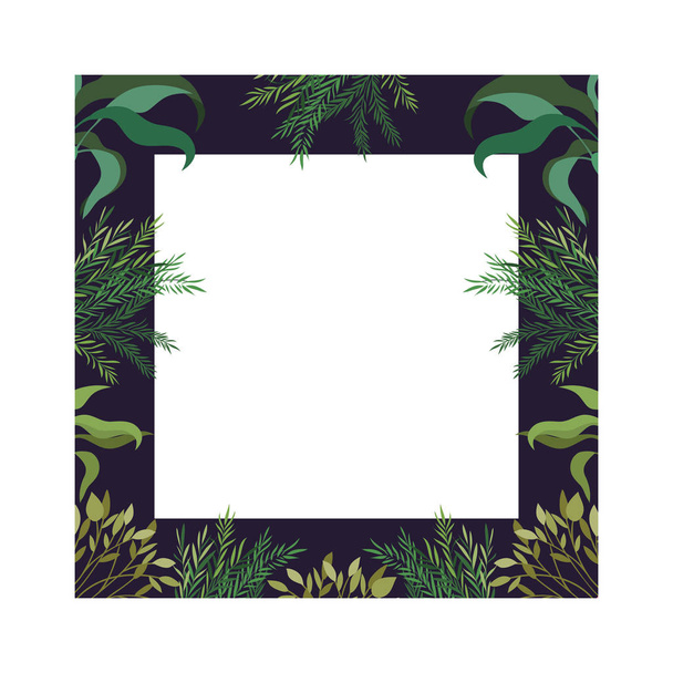 frame with branch and leaf of summer - Vector, Image