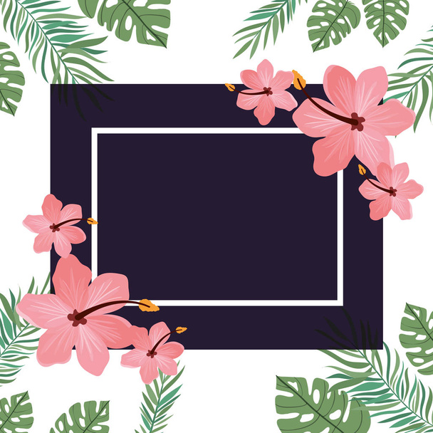 marco con flor y hojas de verano
 - Vector, imagen
